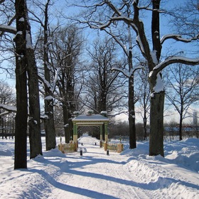 Зимний день в Александровском парке